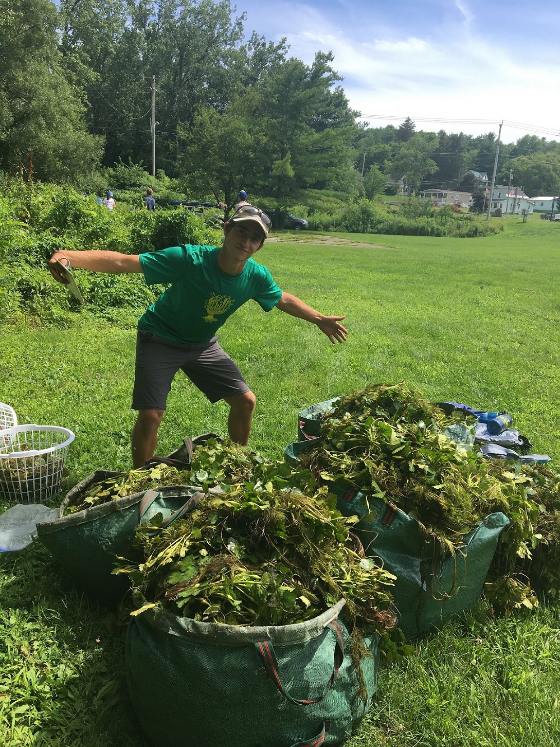 Water Chestnut Harvest